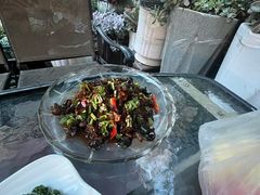 -山菌美食苑(振兴路店)