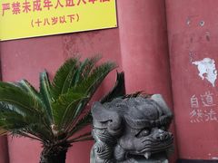 -龙泉洞(沙坪坝区)