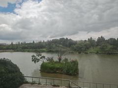 -仙林宾馆-餐厅