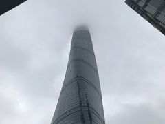 -上海柏悦酒店