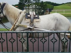-迪茵湖田家舍生态农场