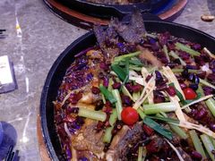 -老板恋上鱼(恒隆广场店)