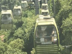 -黔灵山公园