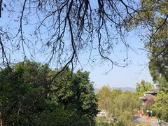 -国恩寺