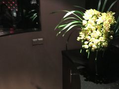 -丽晶大班SPA(大沽店)