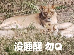 -宁波野生动物园