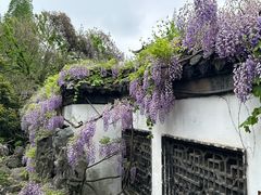 -何园