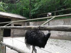 -燕塞湖鸟语林景区