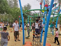 -合肥滨湖国家森林公园