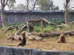 -武汉动物园