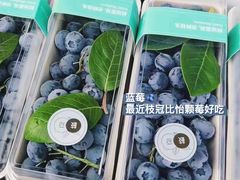 -上海龙吴水胜海发市场