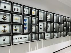 -酷嗒动物文化乐园(cutezoo西溪乐天城店)