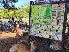 -奈良公园
