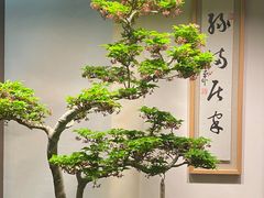 -双季花艺园艺市场(浦东店)