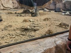 -武汉动物园