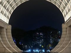-新加坡丽思卡尔顿美年酒店