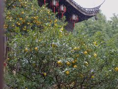 -胡雪岩故居