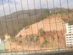 -西双版纳原始森林公园
