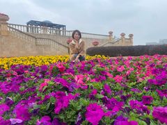 -东莞植物园