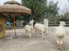 -珠海海泉湾神秘岛亲子乐园