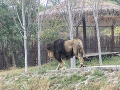 -沈阳森林动物园