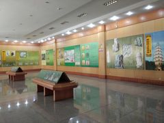 -兴隆文化园景区-兖州博物馆