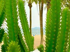 -大梅沙海滨公园