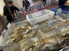 -半岛听涛蒸汽海鲜自助(K11店)
