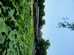 android_upload_pic-小王府(什刹海店)