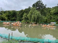 -宁波野生动物园