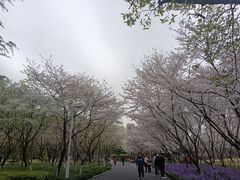 -白塘生态植物园