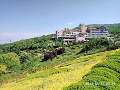 景点-徂徕山森林康养度假谷温泉