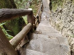 -青城山