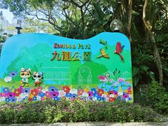 -九龙公园