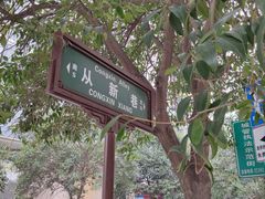 -刘老虎肉丸糊辣汤(总店)