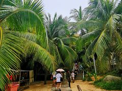 -海南分界洲岛旅游区