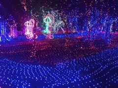 -哈尔滨文化公园