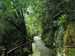 -鼎湖山风景区