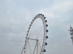 -渡海小渔村.老辈日照菜