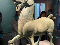 -广西壮族自治区博物馆