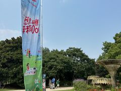 -上海滨江森林公园