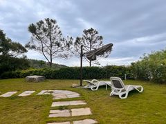 -广东惠东海龟国家级自然保护区