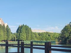 -艾溪湖湿地公园