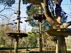 -WeLope紫金山探险公园