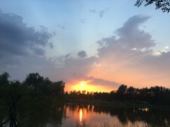 -东郊湿地公园