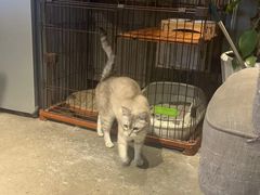 -脉冲品质汽美·贴膜(闵行店)