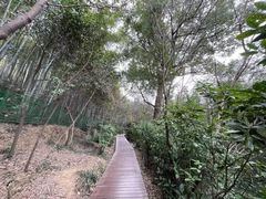 -上海佘山国家森林公园西佘山园