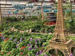 -南宫五洲植物乐园