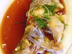 -华雅花园大酒店