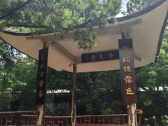 -广州兰圃
